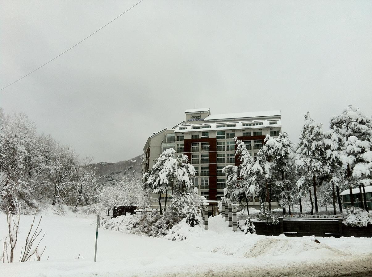 Hotel Coop Sweet House Pyeongchang Esterno foto