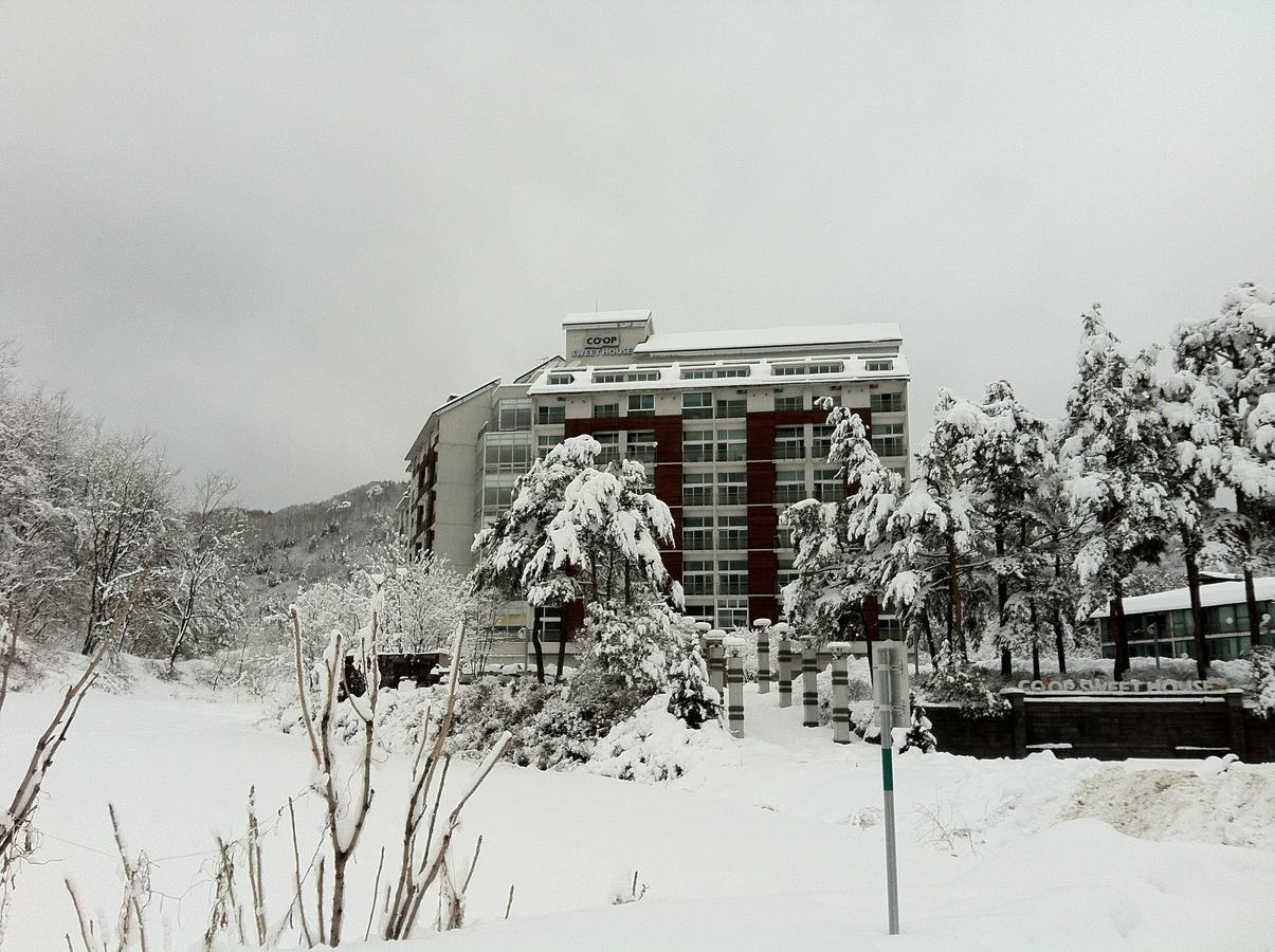 Hotel Coop Sweet House Pyeongchang Esterno foto